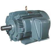 Hãng Motor Hitachi